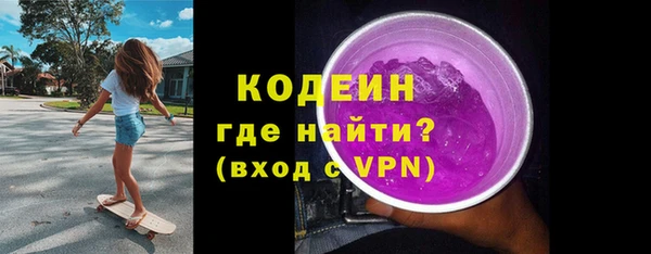 твердый Гусев