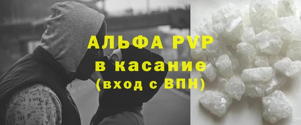 твердый Гусев