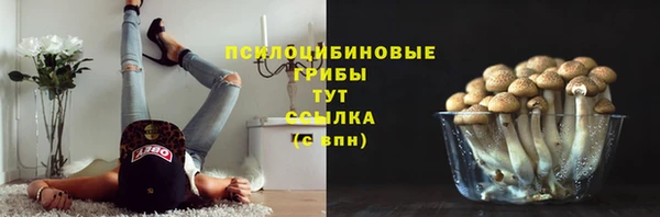 спайс Гусь-Хрустальный