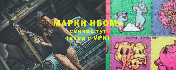 твердый Гусев