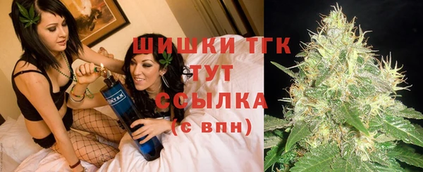 спайс Гусь-Хрустальный