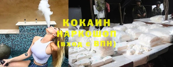 твердый Гусев