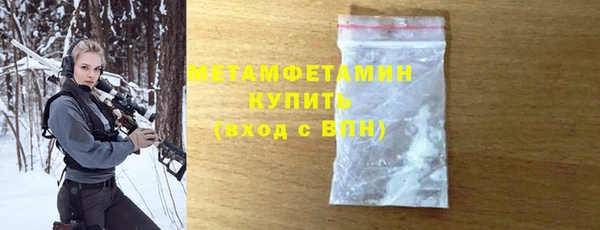 твердый Гусев
