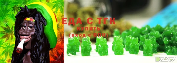 твердый Гусев