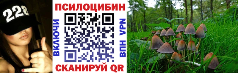 Галлюциногенные грибы Cubensis  Плавск 